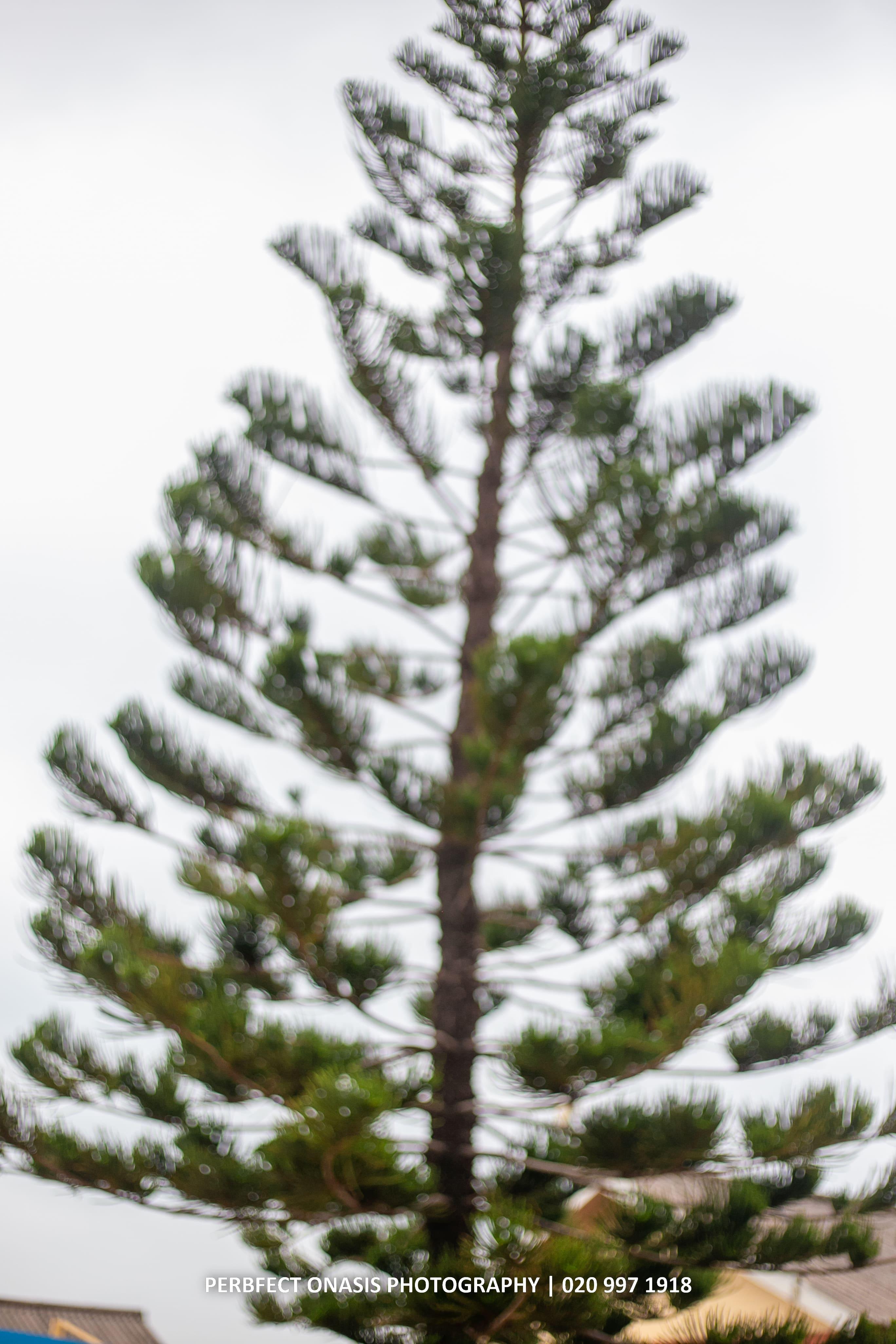 View the World through Nature